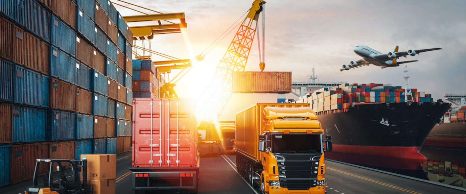 Developing a Supply Chain Strategy for Lifestyle Product Distribution